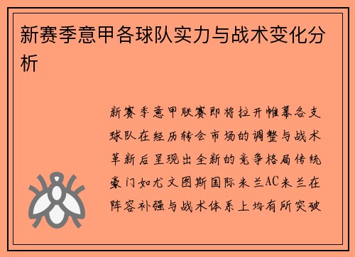 新赛季意甲各球队实力与战术变化分析