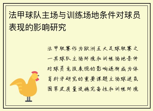 法甲球队主场与训练场地条件对球员表现的影响研究